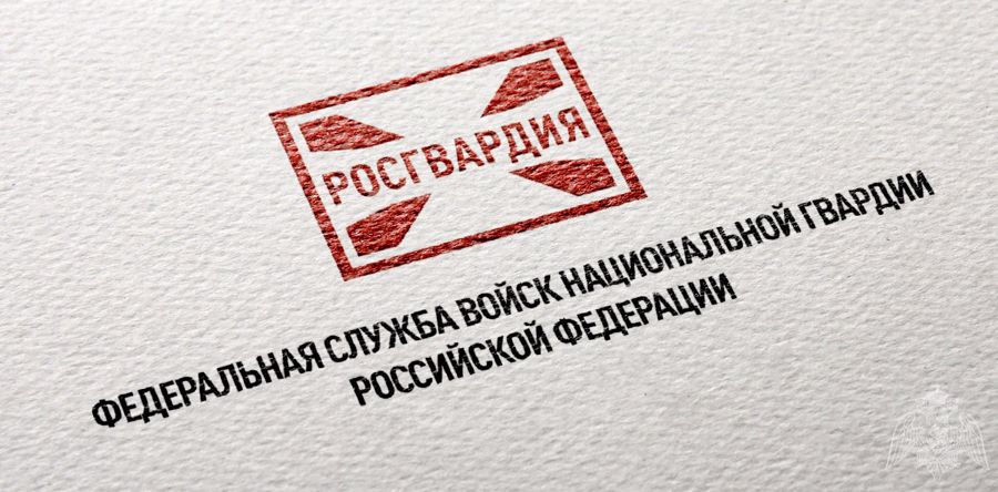 Подразделения лицензионно-разрешительной работы Росгвардии по Республике Коми оказывают государственные услуги в электронном виде