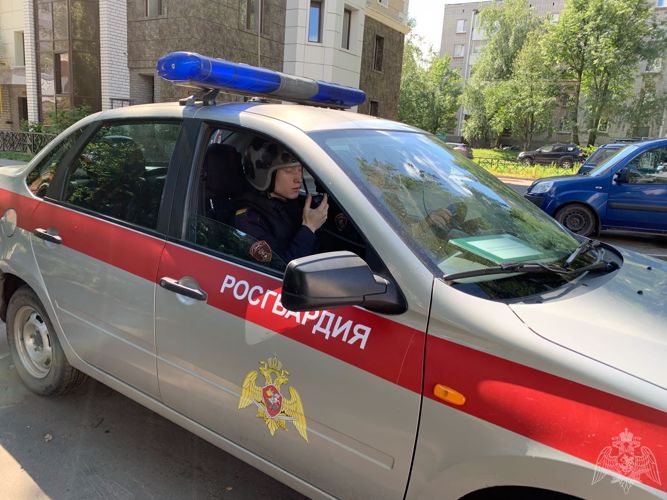 В Прилузском районе сотрудниками вневедомственной охраны Росгвардии задержан мужчина, подозреваемый в хищении крупной суммы денег