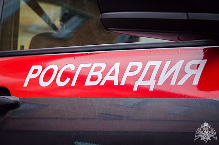 Вневедомственная охрана Республики Коми призывает жителей региона обратить внимание на сохранность имущества в период зимних праздников