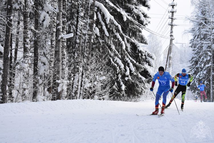 В Сыктывкаре определены победители Чемпионата Росгвардии по служебному двоеборью 