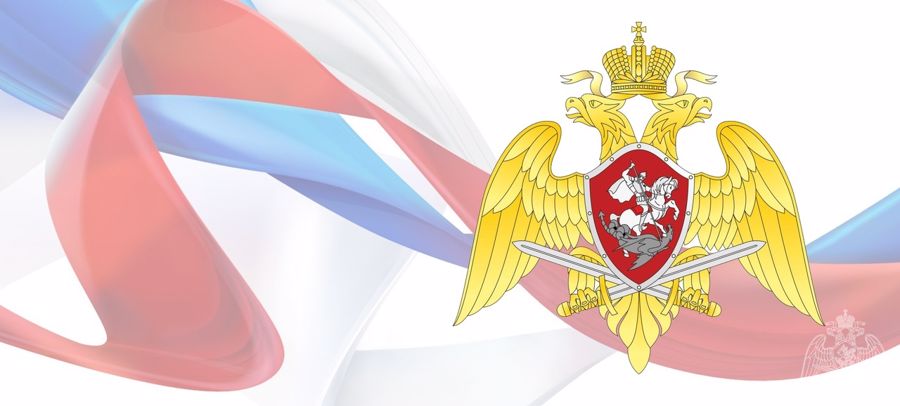 В Республике Коми подведены итоги деятельности подразделений ЛРР по контролю за частной охранной и детективной деятельностью за 2020 год