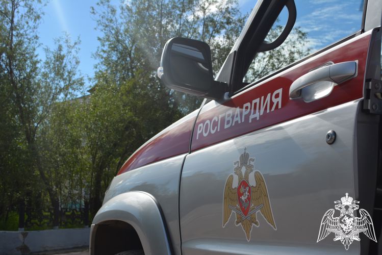В Сыктывкаре сотрудники вневедомственной охраны Росгвардии задержали мужчину, подозреваемого в убийстве