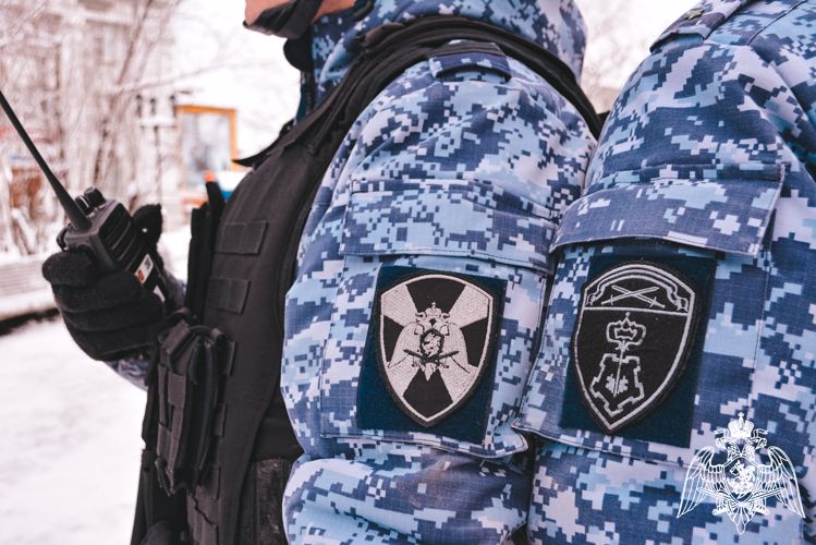 В Ухте и Усинске сотрудниками вневедомственной охраны Росгвардии задержаны нарушители общественного порядка