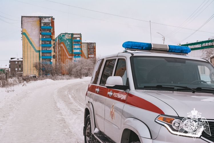 Сотрудники Росгвардии задержали посетительниц бара, устроивших драку в заведении 