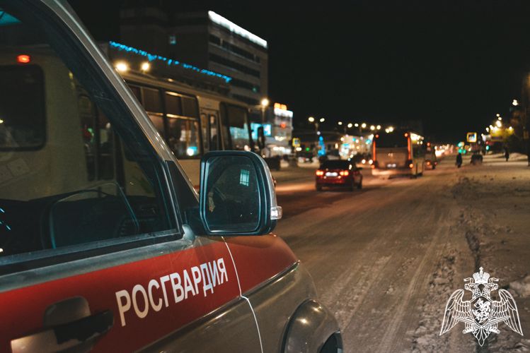 В Республике Коми сотрудники вневедомственной охраны задержали буйных посетителей кафе