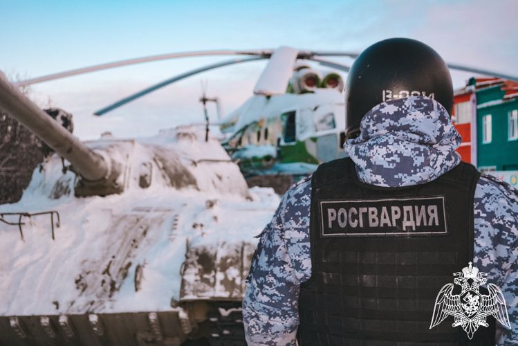 В Сыктывкаре росгвардейцы задержали нарушительницу, разбившую автомобиль