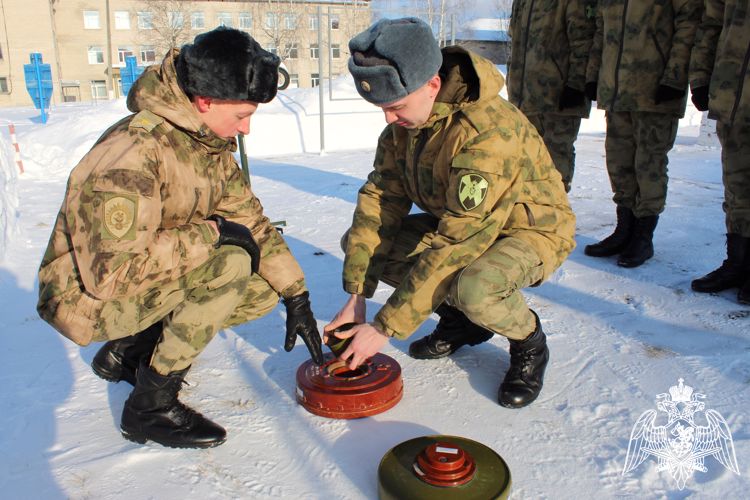 Курсанты Пермского института Росгвардии прошли стажировку в Сыктывкаре