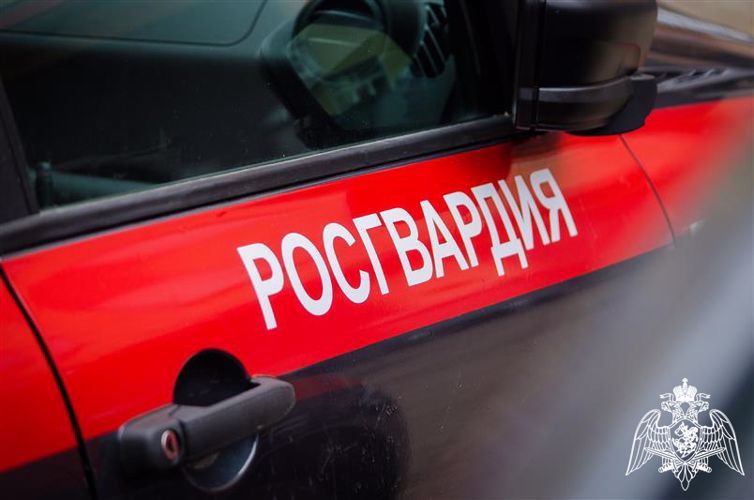 В Сыктывкаре и Усинске росгвардейцы задержали буйных посетительниц кафе
