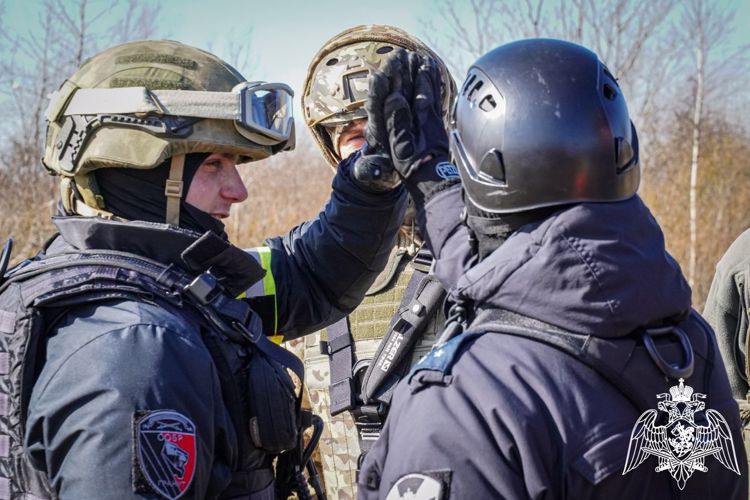 Под Петербургом сотрудники спецподразделений Управления Росгвардии по Республике Коми отработали беспарашютное десантирование