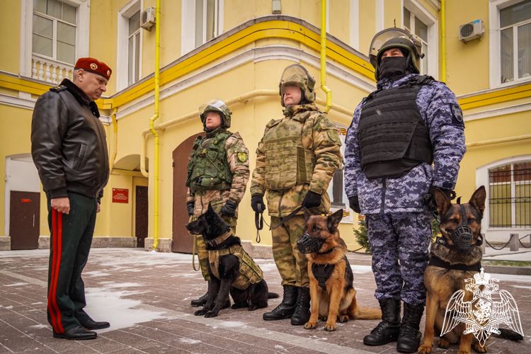 Генерал-лейтенант Алексей Воробьев рассказал о подвиге на СВО  служебных собак из Республики Коми