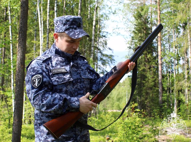 Жительница Усть-Цильмы сдала в Росгвардию найденное оружие и боеприпасы