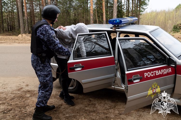 В Ухте росгвардейцы задержали мужчину, похитившего силовой кабель