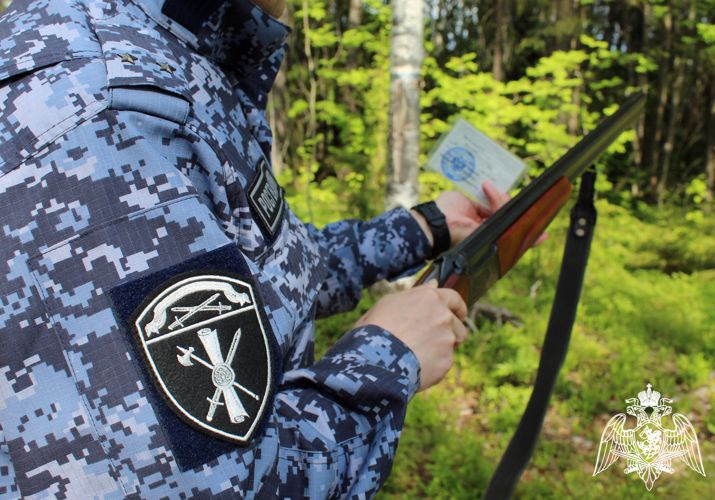 В Коми за неделю росгвардейцами изъята 21 единица охотничьего оружия