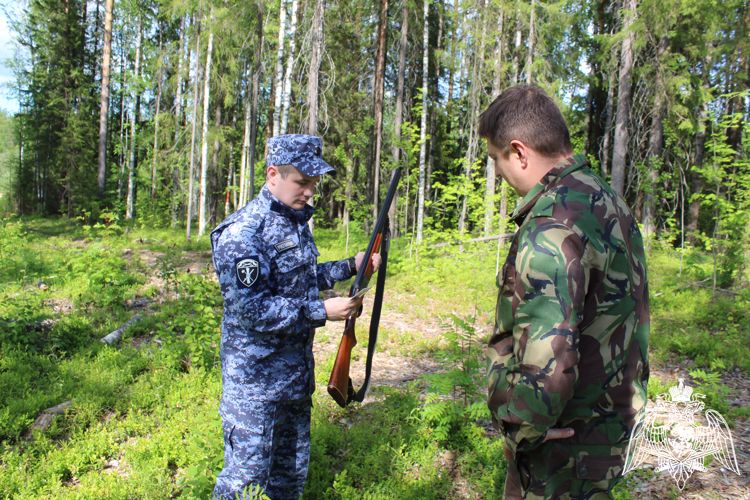 Росгвардейцы в Коми за неделю изъяли 12 единиц охотничьего оружия
