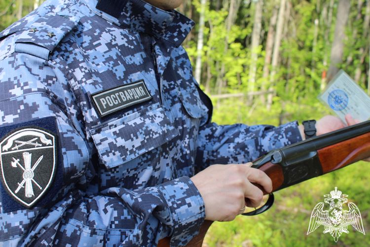 За неделю в Коми сотрудниками Росгвардии изъято 13 единиц гражданского оружия и 16 патронов