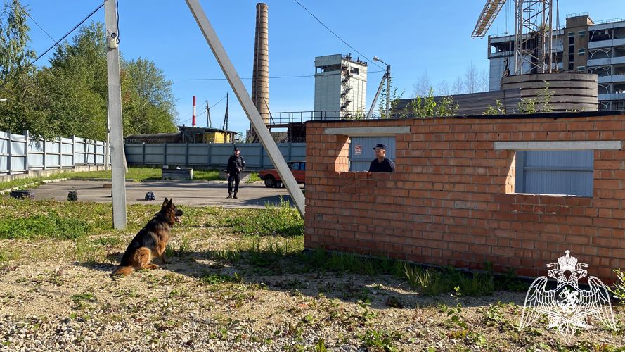 В Коми росгвардейцы обучают собак общему курсу дрессировки и поиску взрывчатых веществ