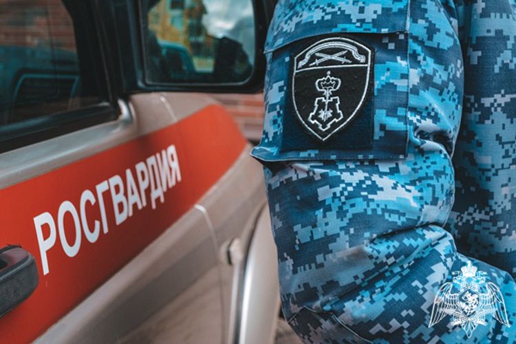 В Коми сотрудниками Росгвардии задержаны нарушители, испортившие имущество в увеселительных заведениях