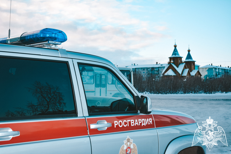 В Коми росгвардейцы выезжали по сигналам «тревога», сработавшим в  квартирах Вуктыла и Прилузского района   
