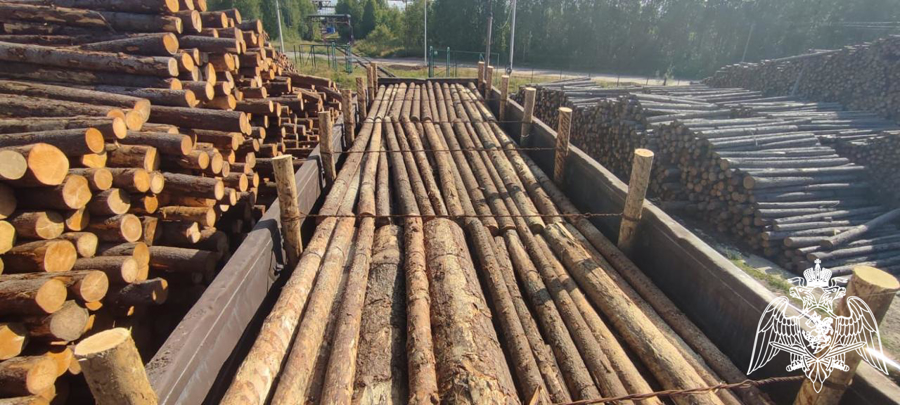 В Сыктывкаре начальник Центра подготовки личного состава Росгвардии вручил благодарственное письмо председателю совета директоров ООО «Лузалес» Руслану Семенюку