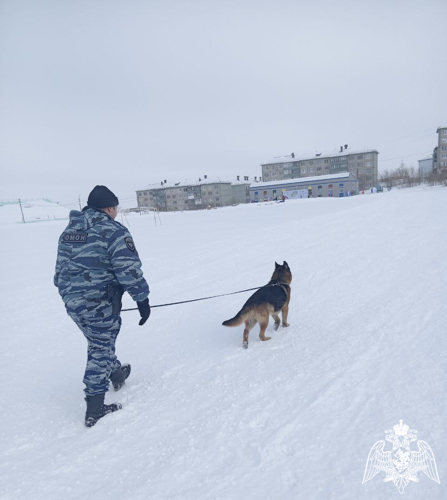 В Воркуте сотрудники ОМОН «Арктика» обследовали места проведения Всероссийской массовой лыжной гонки «Лыжня России»  