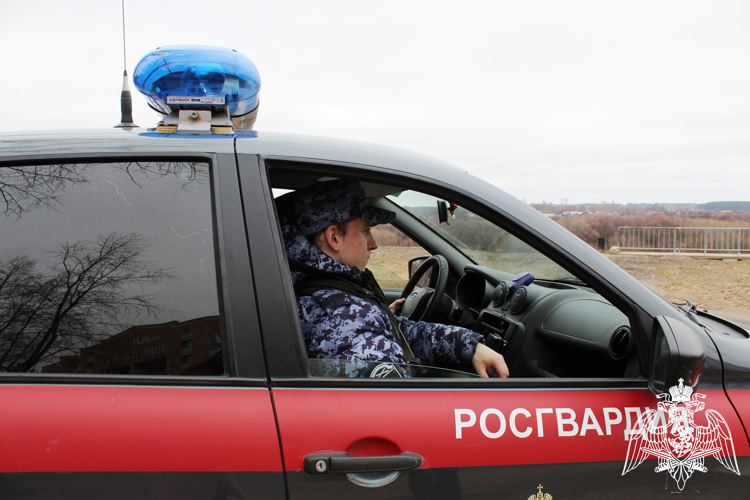 В Сыктывкаре росгвардейцы задержали участников конфликта, переросшего в драку