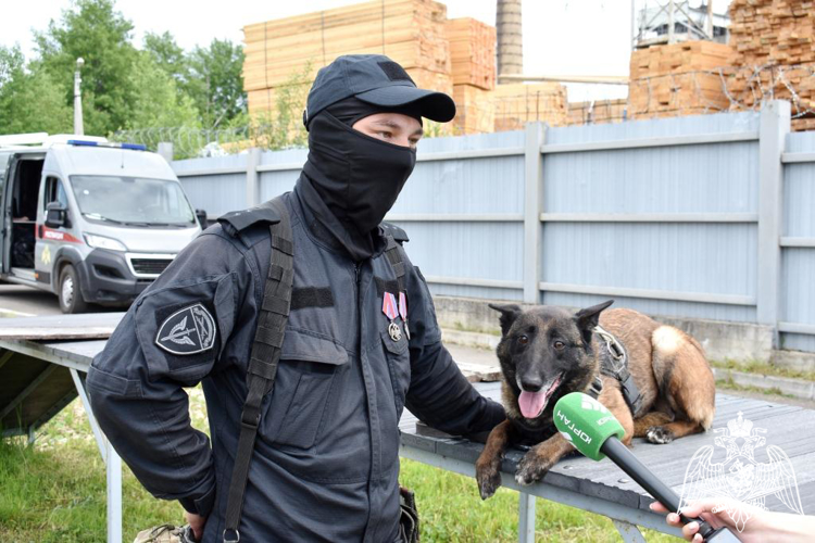 В Сыктывкаре кинологи Росгвардии поделились с журналистами особенностями службы минно-разыскных собак