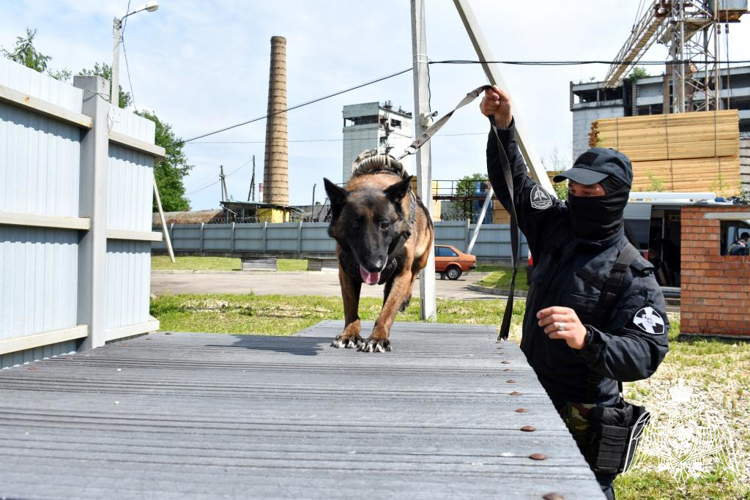 В Сыктывкаре кинологи Росгвардии поделились с журналистами особенностями службы минно-разыскных собак