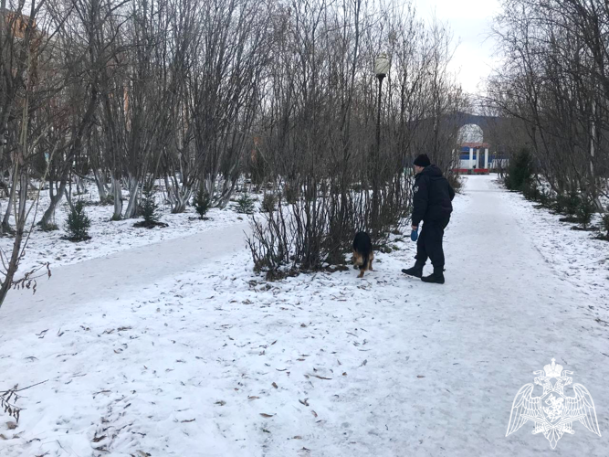 Сотрудники ОМОН «Арктика» обследовали места проведения «Заполярных игр»