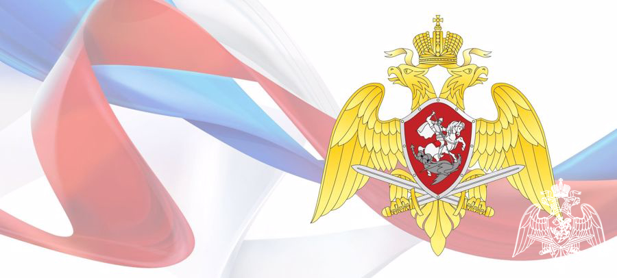 Результаты деятельности отдела государственного контроля  Управления Росгвардии по Республике Коми за  2024 год