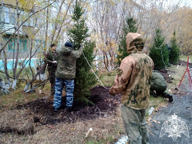 В Воркуте росгвардейцы приняли участие в проекте по озеленению городской инфраструктуры с подшефными кадетами