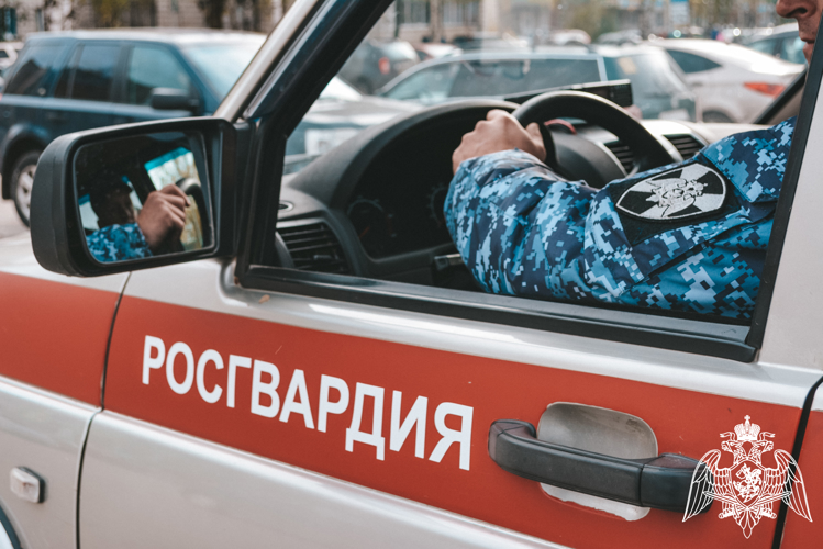 В столице Коми росгвардейцы задержали нарушителей в увеселительных заведениях