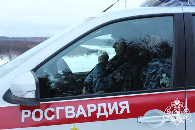 В Коми росгвардейцами задержаны нарушители общественного порядка