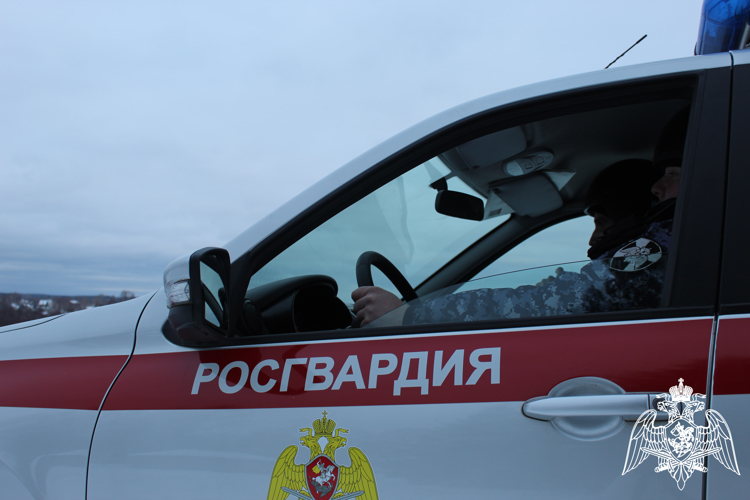 В Коми росгвардейцы задержали нарушителей общественного порядка 