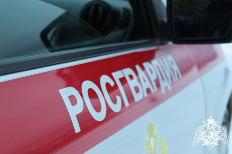 Росгвардейцы задержали агрессивного мужчину, повредившего имущество в баре