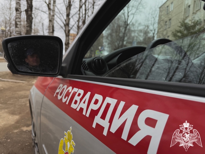 В Сыктывкаре росгвардейцы задержали похитителей продуктов питания в гипермаркетах