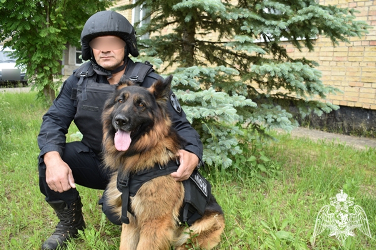 Росгвардейцы кинологи и их четвероногие питомцы отмечают профессиональный праздник 