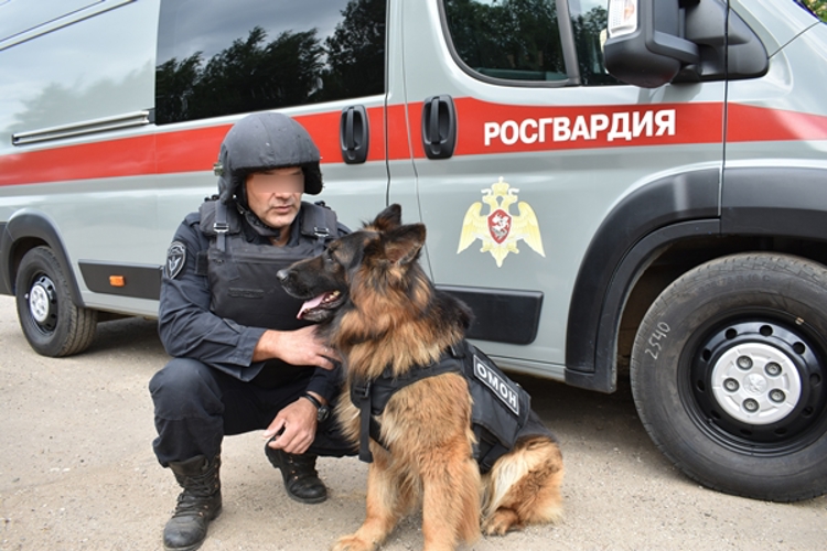 Росгвардейцы кинологи и их четвероногие питомцы отмечают профессиональный праздник 