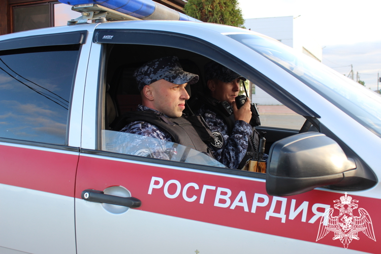 В селе Объячево росгвардейцы усмирили буйного пациента