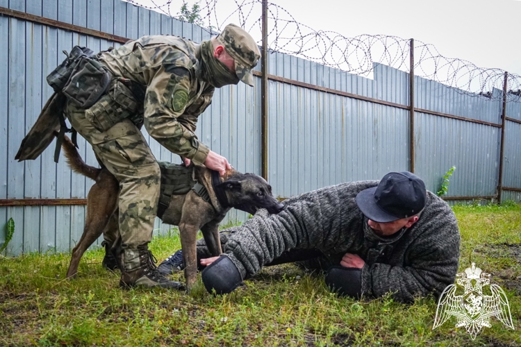 В Северо-Западном округе Росгвардии стартовал летний период подготовки