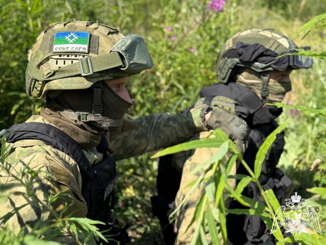 Спецподразделения Росгвардии приняли участие в тактико-специальном учении в Республике Коми