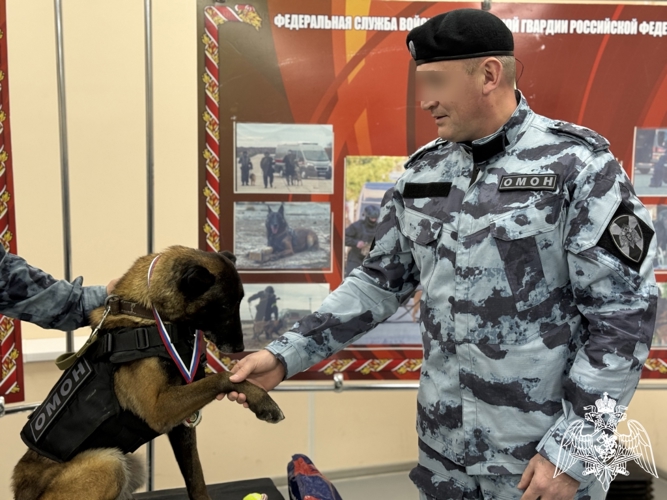 Впервые в Сыктывкаре минно-разыскную собаку наградили медалью Росгвардии