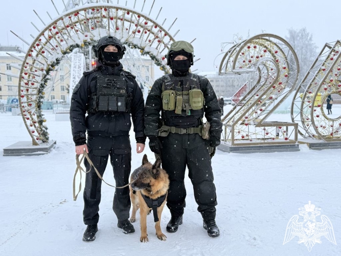 В Республике Коми росгвардейцы обеспечат правопорядок и безопасность граждан в новогодние праздники