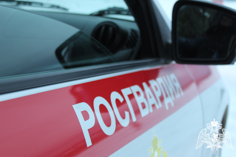 Сотрудники вневедомственной охраны Росгвардии пресекли правонарушения в увеселительных заведениях Сыктывкара и Усинска
