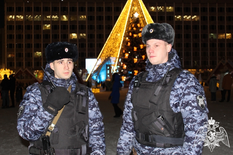 В Сыктывкаре и Усинске росгвардейцы задержали подозреваемых, в причинении вреда здоровью