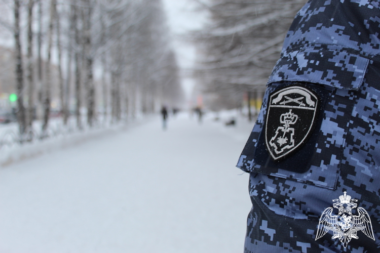 В Сыктывкаре сотрудники вневедомственной охраны пресекли попытку хищения товара из гипермаркета