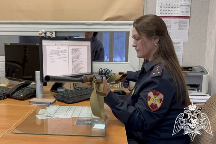 За год у жителей Коми изъяли более 3400 единиц зарегистрированного оружия