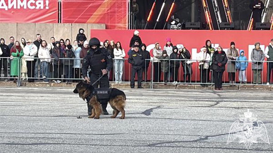 В Сыктывкаре росгвардейцы в День Победы приняли участие в тематических площадках