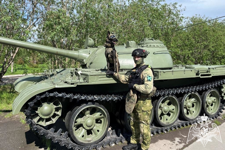 Профессиональный праздник кинологов Росгвардии: верность долгу и надёжность четвероногих помощников  
