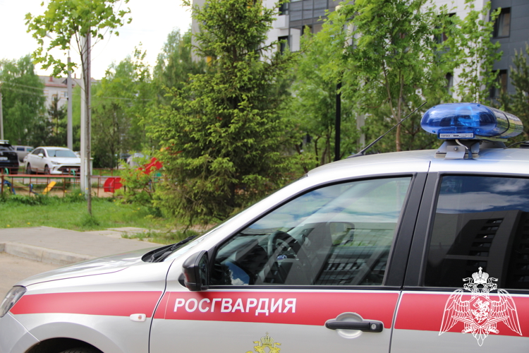 В Сыктывкаре росгвардейцы задержали мужчину после попытки выбить окно гостиницы