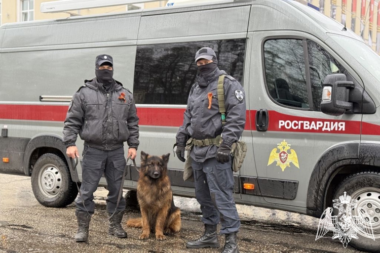 Профессиональный праздник кинологов Росгвардии: верность долгу и надёжность четвероногих помощников  